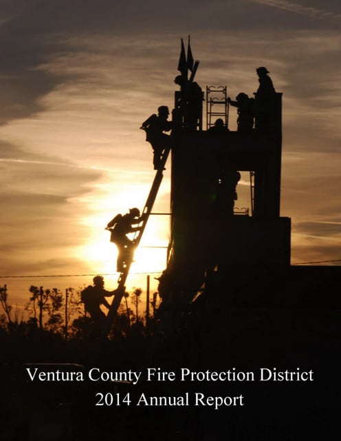 Annual Report 2014